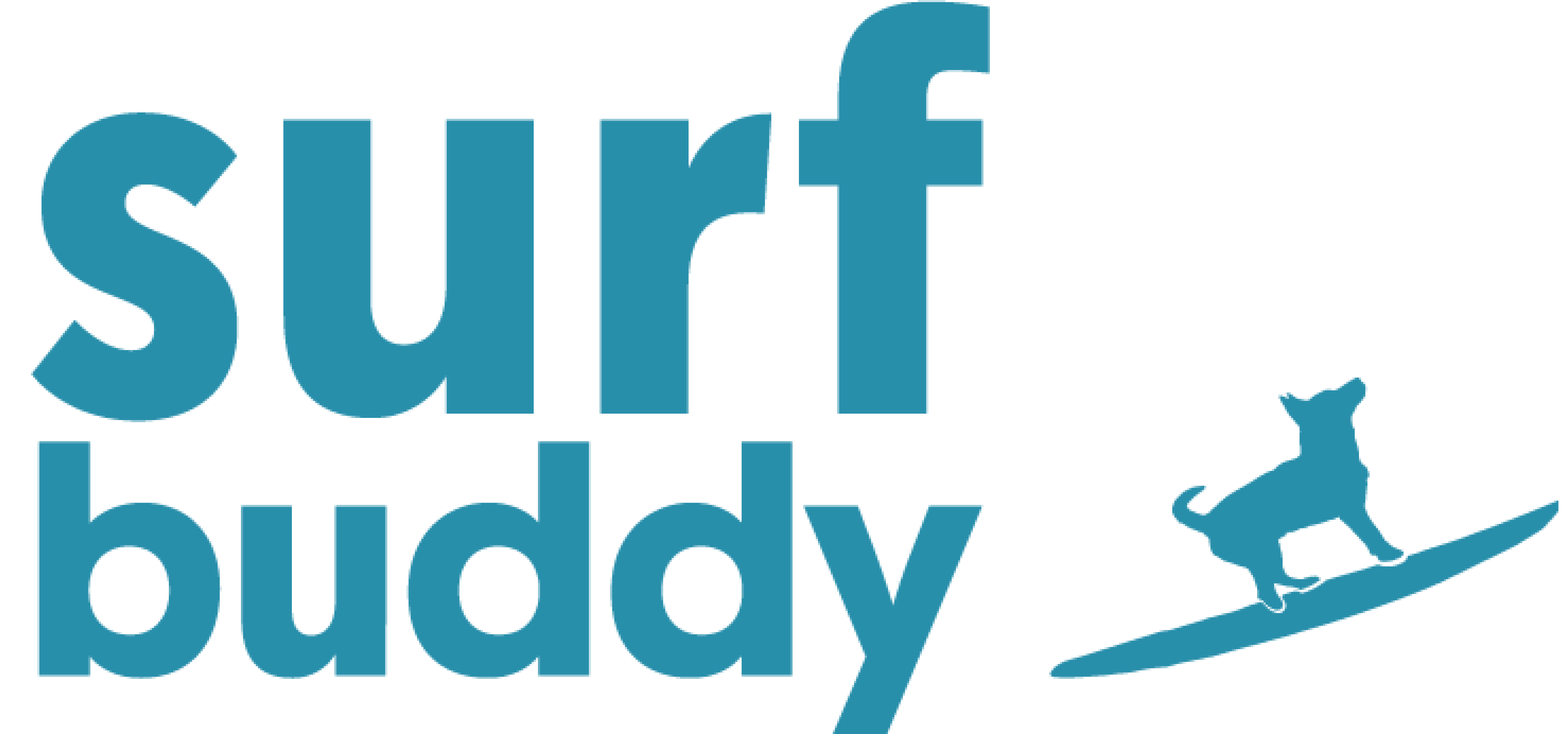Surf Buddy